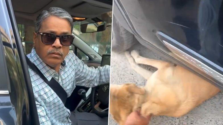 Delhi Dog Cruelty: दिल्ली में कार सवार ने कुत्ते को कुचला, बेजुबान की हुई मौत पर सोशल मीडिया पर लोगों का फूटा गुस्सा (Watch VIDEO)