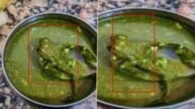 Dead Lizard Found in Samosa Chutney: मेरठ में बेटी के जन्मदिन पर पिता ने मंगवाए समोसे, खाते समय चटनी में दिखाई दी मरी हुई छिपकली, परिजनों के उड़े होश Dead Lizard Found in Samosa Chutney: मेरठ में बेटी के जन्मदिन पर पिता ने मंगवाए समोसे, खाते समय चटनी में दिखाई दी मरी हुई छिपकली, परिजनों के उड़े होश