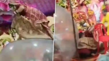 Viral Video: शादी के दौरान दुल्हन को स्टंट करना पड़ा भारी! बड़े से गुब्बारे पर चढ़ने की कोशिश में भरभराकर गिरी नीचे, वीडियो आया सामने Viral Video: शादी के दौरान दुल्हन को स्टंट करना पड़ा भारी! बड़े से गुब्बारे पर चढ़ने की कोशिश में भरभराकर गिरी नीचे, वीडियो आया सामने