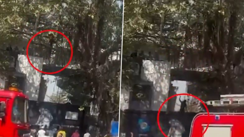 VIDEO: मानसिक बीमार शख्स पेड़ पर चढ़ा, पुलिस फायर ब्रिगेड ने की उतारने की कोशिश तो लगाई नीचे छलांग, पुणे के हडपसर का वीडियो आया सामने