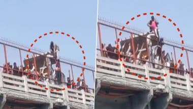 UP Shocker: गंगा नदी के ब्रिज पर चढ़कर सुसाइड करने पहुंची युवती, लोगों ने जेसीबी की मदद से बचाई जान, हापुड़ का वीडियो आया सामने (Watch Video)