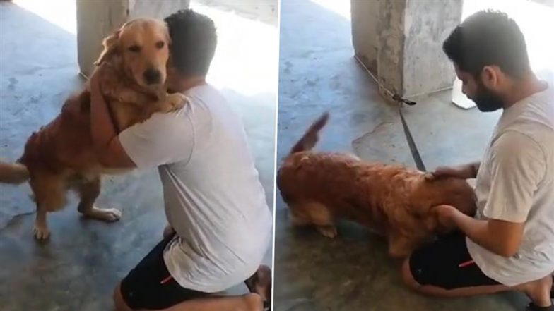 Viral Video: पोस्टर, तलाश और एक इमोशनल मुलाकात; दिल्ली में शख्स को मिला उसका खोया हुआ डॉगी, कहानी सुनकर आंखों में आ जाएंगे आंसू