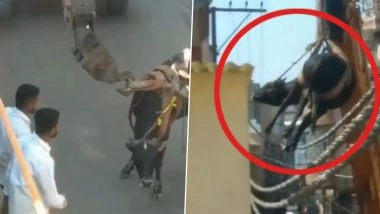Viral Video: हापुड़ में घर की छत पर चढ़ गया सांड, लोगों के प्रयास के बाद भी नहीं उतरा, नगर निगम ने क्रेन की मदद से उतारा नीचे
