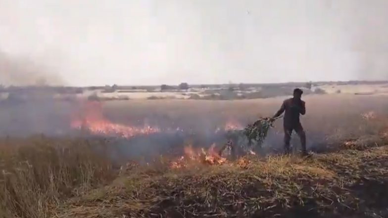 VIDEO: खेतों में लगी आग से 100 एकड़ से ज्यादा गेहूं जलकर राख, लाखों रूपए का नुकसान, संकट में फंसे ललितपुर के कारीटोरन गांव के किसान