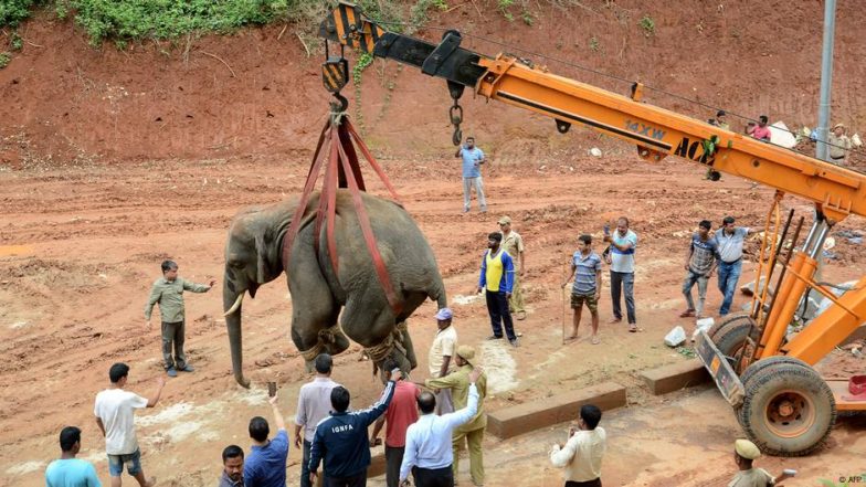असम में कैसे रुकेगा इंसानों और हाथियों में संघर्ष
