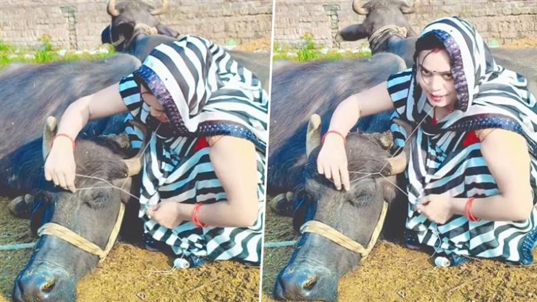 Viral Video: रील बनाने के लिए ये कैसा पागलपन? भैंस का आइब्रो बना रही महिला के वीडियो देख लोग बोले- एक लात पड़ेगी तब!