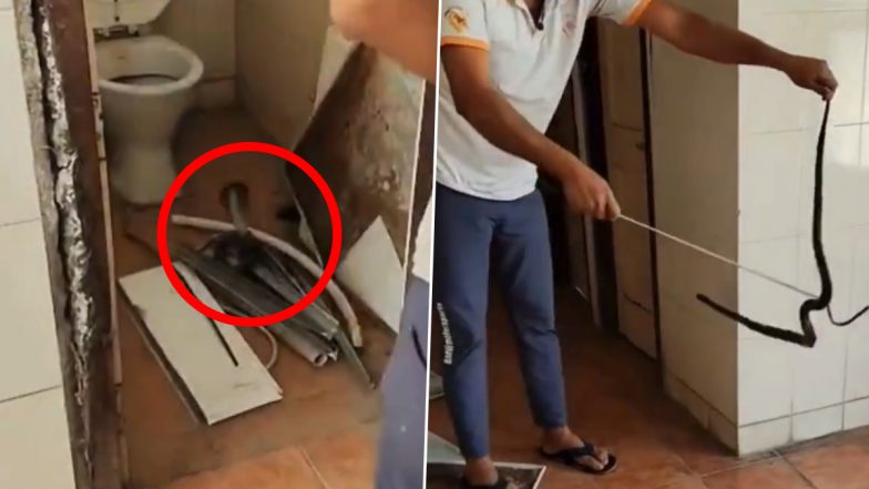 Rohtak News: रोहतक में गर्ल्स कॉलेज के वॉशरूम दिखा कोबरा सांप, मचा हड़कंप (Watch Video)