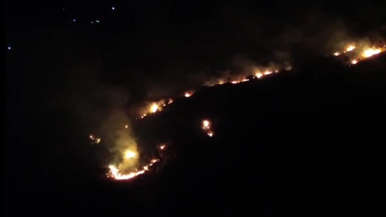 Dindigul Fire: देश में भीषण गर्मी का प्रकोप! तमिलनाडु के डिंडीगुल के जंगल में लगी आग, देखें VIDEO