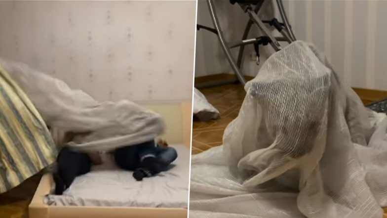 Viral Video: कमरे में आराम से लेटे हुए थे दो युवक, अचानक खिड़की से कूदकर अंदर आ गया पैंथर और फिर...