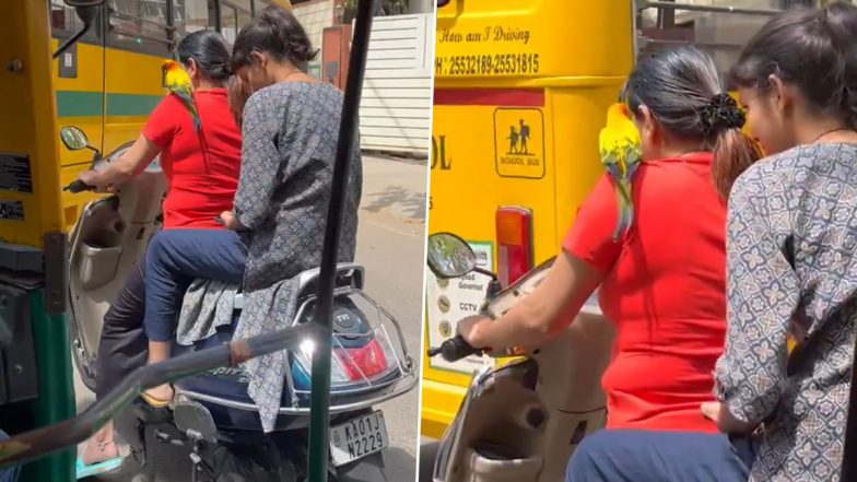 Viral Video: कंधे पर कलरफुल तोते को बैठाकर महिला ने चलाई स्कूटी, बिना हेलमेट देख लोगों ने की कार्रवाई की मांग