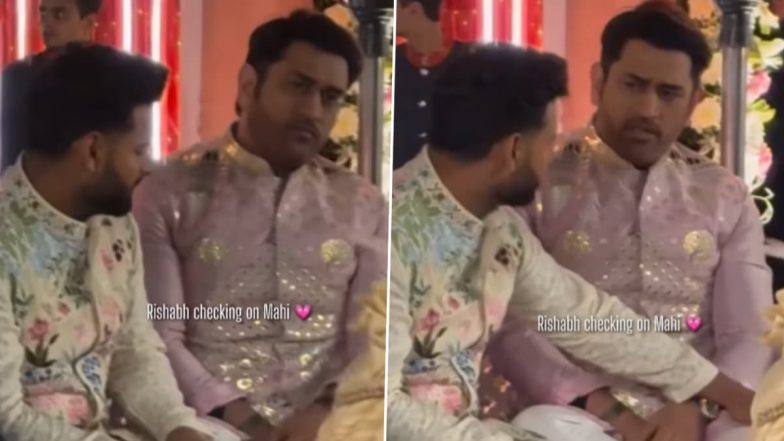 Rishabh Pant And MS Dhoni Video: 'बड़े भैया और छोटा भाई' वाली वाइब दे रहा है ऋषभ पंत और एमएस धोनी, देखें वायरल वीडियो