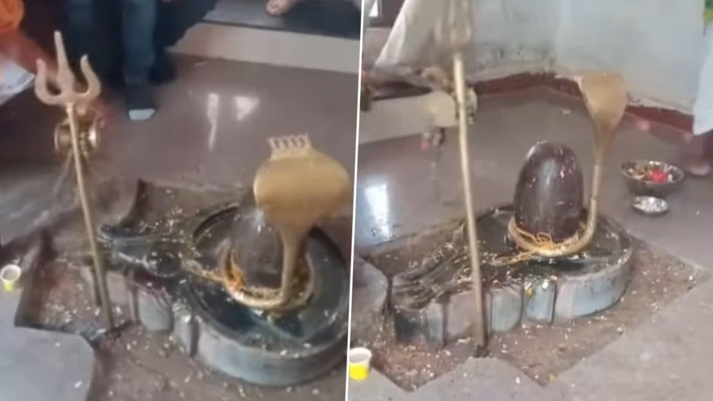 चमत्कार को नमस्कार! ‘ॐ नमः शिवाय’ बोलते ही हिलने लगा त्रिशूल, Viral Video देख चौंक गए शिवभक्त