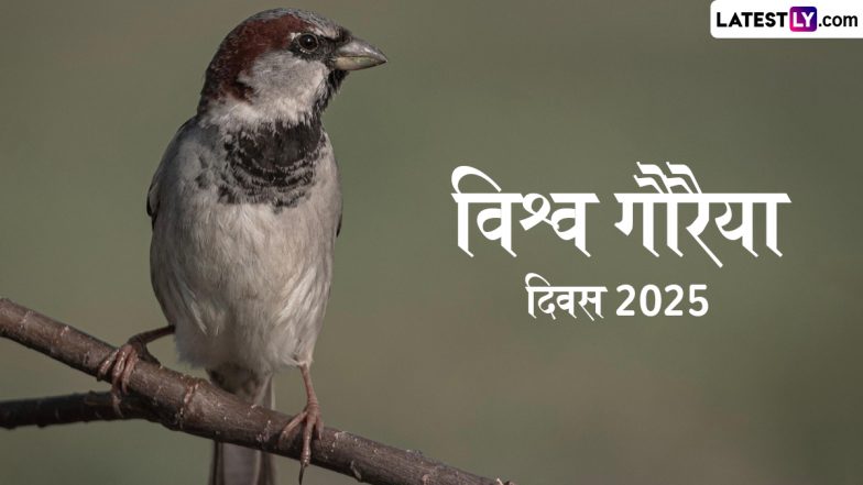 World Sparrow Day 2025: विश्व गौरैया दिवस! हमारे छोटे पंख वाले दोस्तों की चहचहाहट को संरक्षित करने के प्रति जागरूकता बढ़ाने का दिन