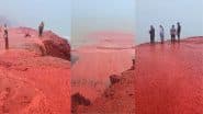 Iran’s Hormuz Island Turning Red: ईरान के होर्मुज द्वीप के लाल होने का वीडियो वायरल, जानें इसके पीछे का साइंस