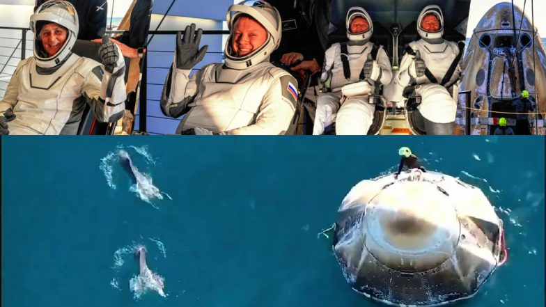 Sunita Williams Return Video: ड्रैगन कैप्सूल से धरती पर लौटी सुनीता विलियम्स, डॉल्फिन्स ने किया अनोखा स्वागत! VIDEO में देखें अद्भुत नजारा