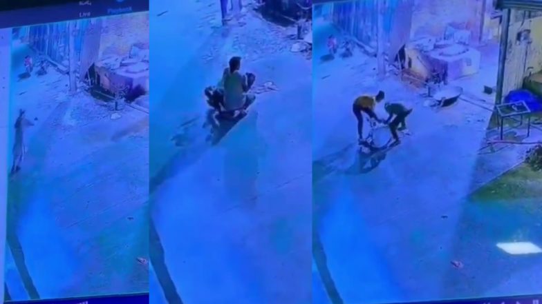 Sudden Death Video: नमाज पढ़कर लौट रहे बुजुर्ग की अचानक मौत, चलते-चलते गिरे और फिर तोड़ा दम, CCTV फुटेज आया सामने