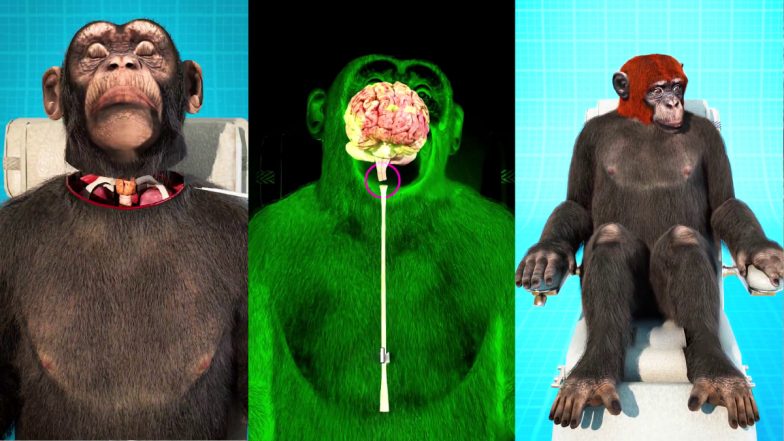 Monkey Head Transplant 1970: जब एक बंदर का सिर काटकर दूसरे बंदर के शरीर से जोड़ा गया, विज्ञान का अद्भुत लेकिन विवादास्पद प्रयोग