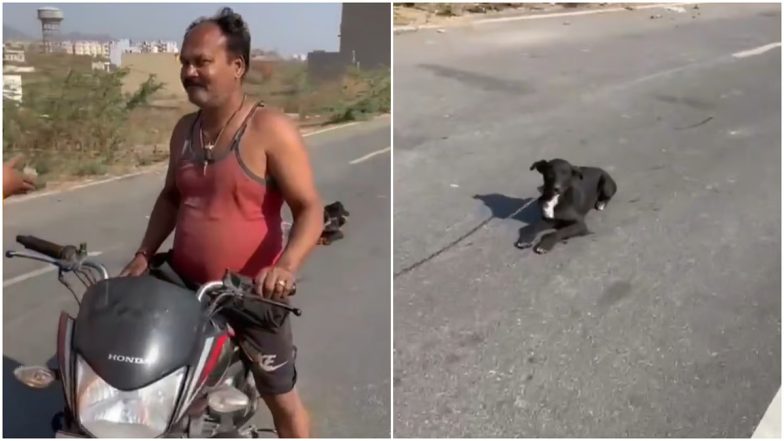 VIDEO: उदयपुर में युवक ने बाइक से कुत्ते को घसीटा, महिला की फटकार के बाद मांगी माफी, वीडियो वायरल