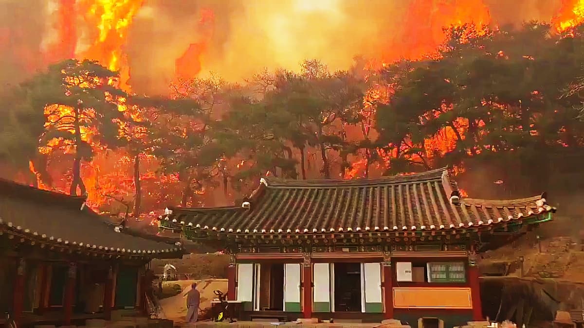 VIDEO: दक्षिण कोरिया में 1000 साल पुराना उंरामसा मंदिर भीषण आग में जलकर राख, भयानक वीडियो आया सामने