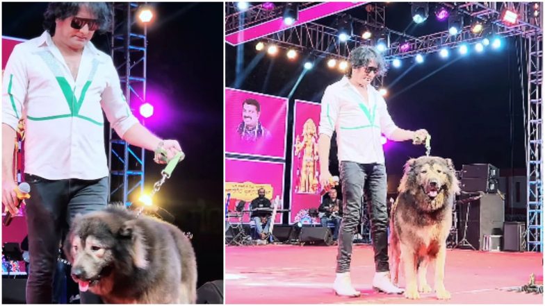 VIDEO: 50 करोड़ रुपये का कुत्ता! बेंगलुरु के एस सतीश ने खरीदा दुनिया का सबसे महंगा वुल्फडॉग, 7 एकड़ में बनाया घर