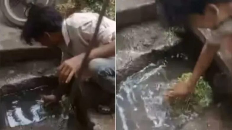 VIDEO: गटर के गंदे पानी से धो कर सब्जियां बेच रहा था दुकानदार! वायरल वीडियो देख लोगों का फूटा गुस्सा