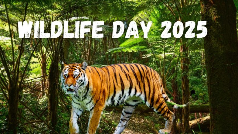 World Wildlife Day 2025: वर्ल्ड वाइल्ड लाइफ डे आज, वन्यजीव संरक्षण दिवस पर जानें धरती और जीवों के भविष्य में निवेश का महत्व