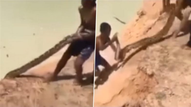 Viral Video: नदी में घुसकर बच्चे बाहर खींच लाए विशालकाय अजगर, उनके हैरतअंगेज कारनामे को देख उड़े लोगों के होश