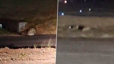 Leopard Sighting: पुणे एयरपोर्ट के रनवे पर देखा गया तेंदुआ, वीडियो सामने आने के बाद वन अधिकारियों ने शुरू किया सर्च ऑपरेशन