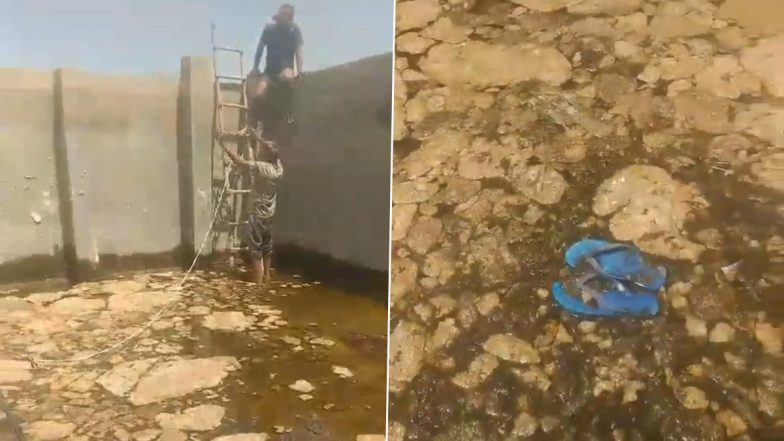 VIDEO: आगरा फोर्ट के रेलवे स्टेशन पर हो रही थी गंदे पानी की सप्लाई, सफाई करने पहुंचे मजदूरों को टंकी में दिखाई दिए मरें हुए पक्षी और छिपकली, वीडियो आया सामने