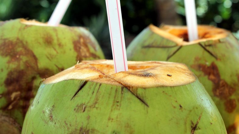Benefits of Coconut Water: गर्मी में नारियल पानी &lsquo;अमृत&rsquo; समान, शुद्ध नैचुरल प्रोडक्ट शरीर के जरूरी अंगों का रखता है खास ख्याल