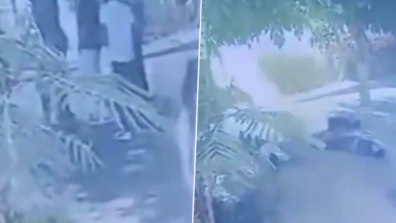 VIDEO: बारिश से बचने के लिए पेड़ के नीचे रुके छात्रों पर गिरी बिजली, 5 स्टूडेंट्स झुलसे, मुरादाबाद के यूनिवर्सिटी का वीडियो आया सामने