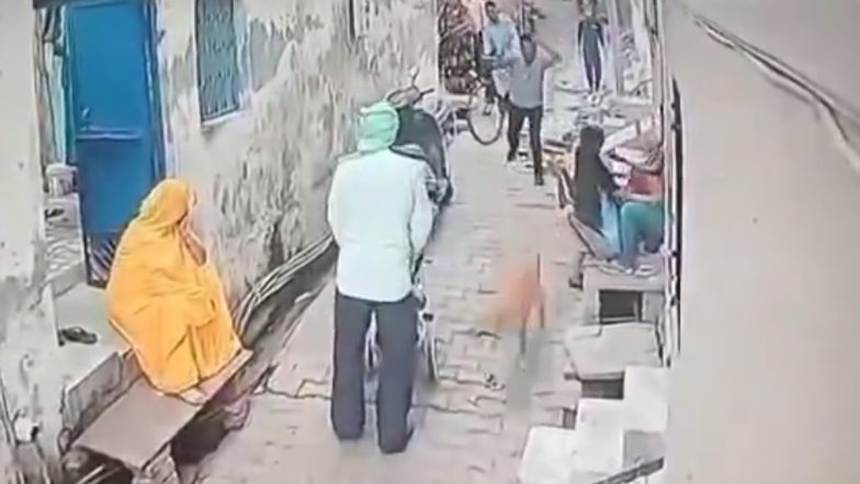 Animal Cruelty Video: शख्स ने गली के कुत्ते को डंडे से पीट पीटकर उतारा मौत के घाट, CCTV में कैद हुई घटना, आगरा पुलिस में शिकायत दर्ज