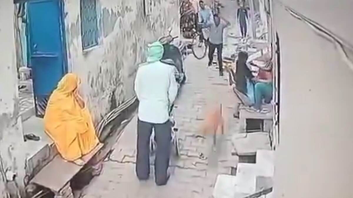 आगरा के श्याम नगर में कुत्ते को शख्स ने डंडे से पीट पीटकर मौत के घाट उतारा.
