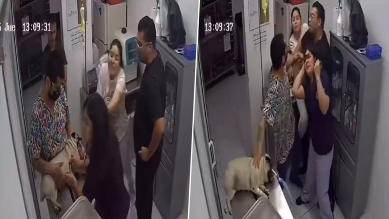 Caught on Cam: मेक्सिको में कुत्ते की मौत के बाद पेट डॉग के मालिक ने महिला पशु चिकित्सक के बाल खींचे, देखें वायरल वीडियो