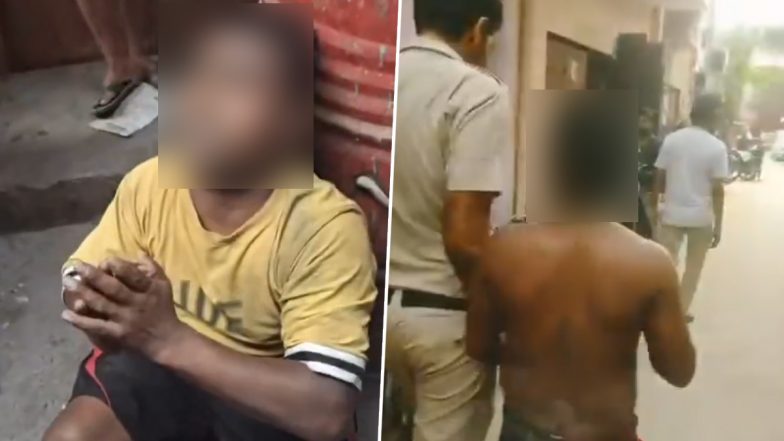 VIDEO: बेजुबानों के साथ हैवानियत से भरी हरकत, आरोपी ने 13 आवारा कुत्तों के साथ किया रेप, लोगों ने की जमकर पिटाई, दिल्ली की घटना से एनिमल लवर्स में नाराजगी
