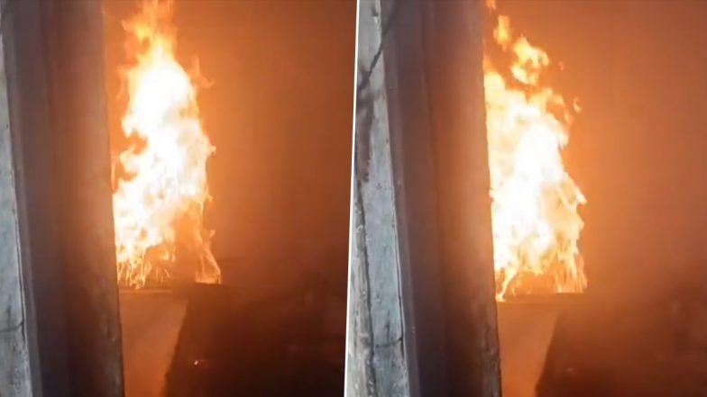 Amroha Cylinder Blast Video: सिलेंडर में आग लगने से हुआ ब्लास्ट, घर में मौजूद शख्स हुआ गंभीर रूप से घायल, अमरोहा जिले में हादसा आया सामने