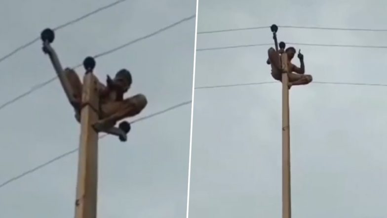 VIDEO: नशे में धुत शख्स का हाई वोल्टेज ड्रामा, इलेक्ट्रिक के पोल पर चढ़कर किया हंगामा, गोंडा जिले का वीडियो आया सामने