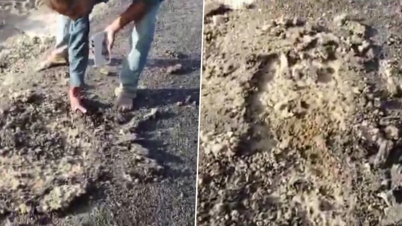 VIDEO:पीलीभीत में भ्रष्टाचार की खुली पोल! 90 लाख रूपए की सड़क को ग्रामीण ने हाथ से उखाड़ा, लोगों ने लगाया घटिया निर्माण का आरोप