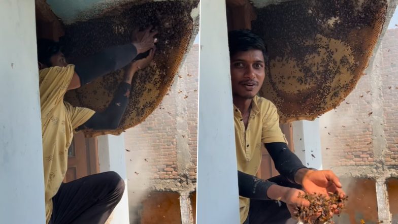 नंगे हाथों से खतरनाक मधुमक्खियों के साथ खेलता दिखा शख्स, स्टंट देख लोगों के उड़े होश (Watch Viral Video)