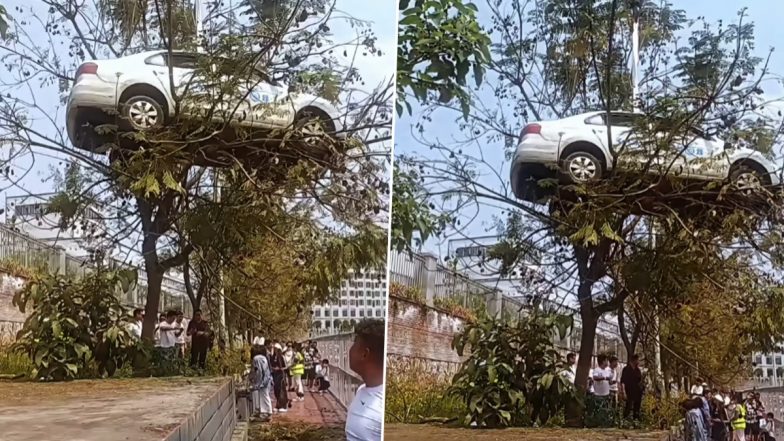 ऊंचे पेड़ पर जाकर लैंड हुई कार ने उड़ाए लोगों के होश, Viral Video देख यूजर्स बोले- किस पापा की परी ने किया है ये काम