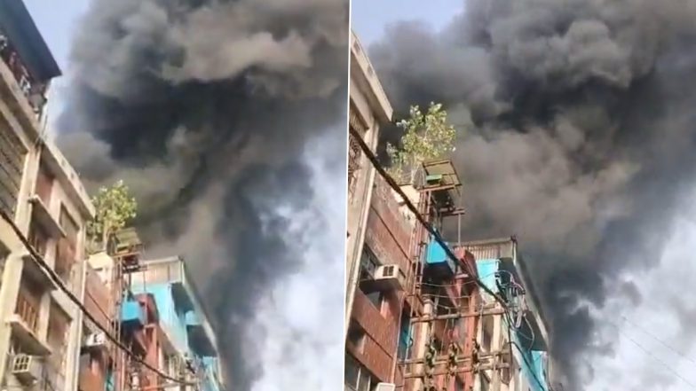 Delhi Fire Video: दिल्ली में एक फैक्ट्री में लगी भीषण आग, दमकल की 14 गाड़ियां मौके पर, काबू पाने की कोशिश जारी