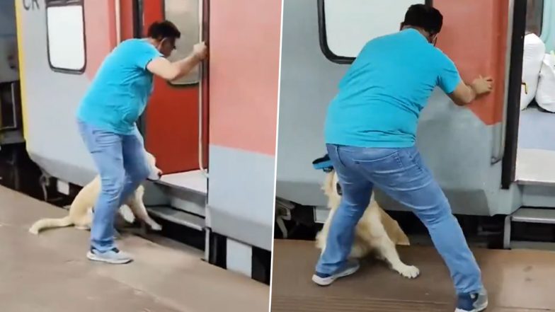 Viral Video: राजधानी एक्सप्रेस में चढ़ने की कोशिश कर रहे यात्री के पालतू कुत्ते की ट्रैक और प्लेटफॉर्म के बीच गिरकर मौत, वीडियो हुआ वायरल