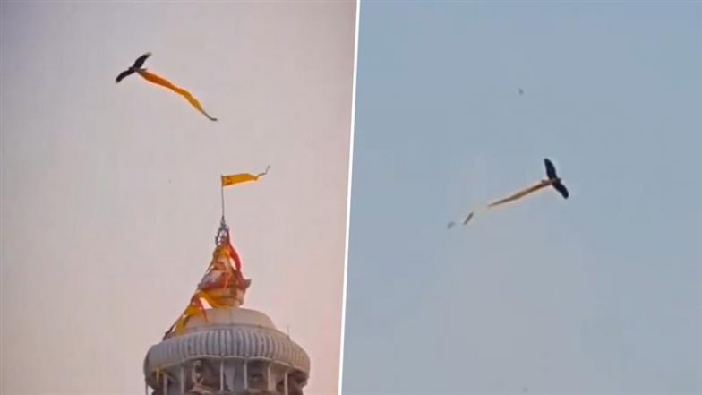 ओडिशा के जगन्नाथ मंदिर के शिखर से पवित्र ध्वज ले उड़ा बाज, Viral Video देख उड़े लोगों के होश