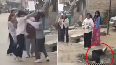 बीच सड़क पर आपस में भिड़ गई दो नेपाली लड़कियां, दोनों के बीच जमकर चले लात-घूसे और फिर... (Watch Viral Video)