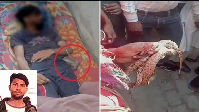 मेरठ में मर्डर की खौफनाक साजिश! BF संग मिलकर पत्नी ने गला दबाकर की पति की हत्या, सांप के काटने का रचा ड्रामा