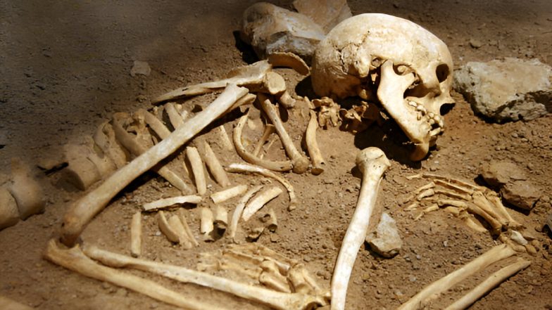 Online Human Bones Sale! फेसबुक पर इंसानी हड्डियां और खोपड़ियां बेचने वाली महिला गिरफ्तार, अमेरिका में अवशेषों की बिक्री से सनसनी