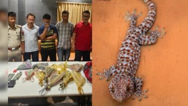 Lizard Smuggling: असम में 11 दुर्लभ छिपकलियां बरामद, 1 की कीमत एक लाख रुपये, 3 तस्कर गिरफ्तार Lizard Smuggling: असम में 11 दुर्लभ छिपकलियां बरामद, 1 की कीमत एक लाख रुपये, 3 तस्कर गिरफ्तार