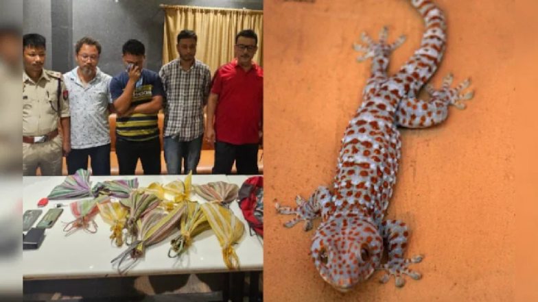 Lizard Smuggling: असम में 11 दुर्लभ छिपकलियां बरामद, 1 की कीमत एक लाख रुपये, 3 तस्कर गिरफ्तार
