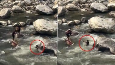 Viral Video: नदी के बीच चट्टान पर खड़े होकर सेल्फी ले रहा था शख्स, अचानक फिसला पैर और फिर... Viral Video: नदी के बीच चट्टान पर खड़े होकर सेल्फी ले रहा था शख्स, अचानक फिसला पैर और फिर...