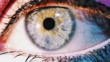 What Is Olo Colour: वैज्ञानिकों ने खोजा ऐसा नया रंग जो आज तक किसी ने नहीं देखा; जानें कैसा ओलो कलर